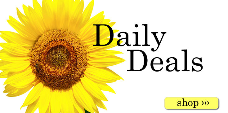 Deal of The Day - 