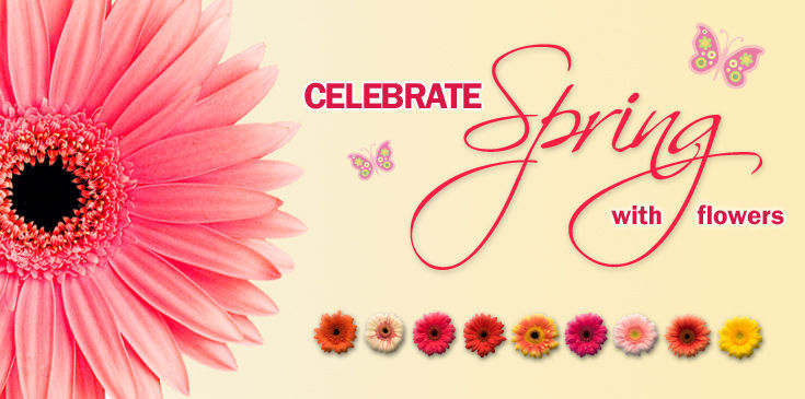 Spring Flowers - 