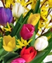 Everyday Flowers