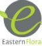 Grand Rapids Florist