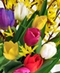 Everyday Flowers