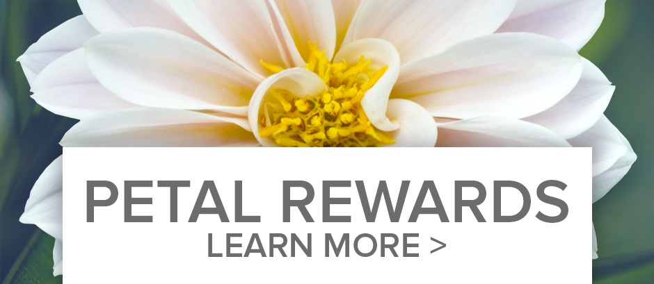 Reward Points