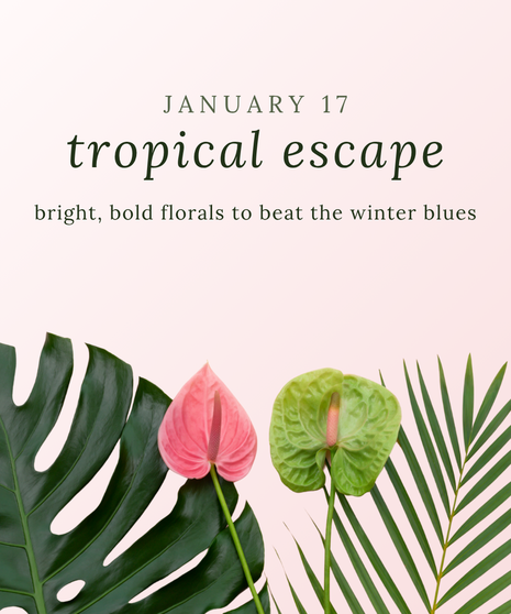 JANUARY DESIGN CLASS - Jan. 17th at 10 am
