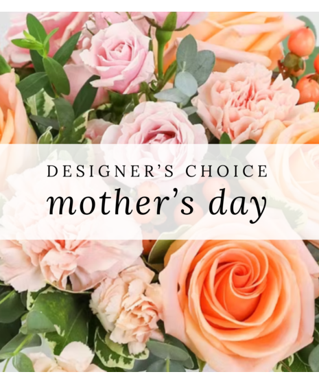 DESIGNER'S CHOICE