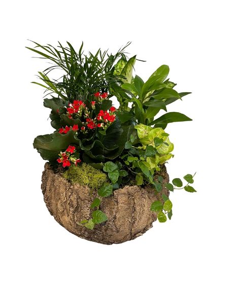 Woodland Dreams Planter
