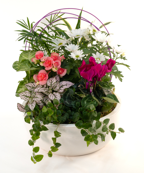 All My Love European Garden