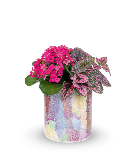 Blushing Duo Planter