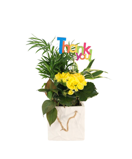 Gratitude Garden Delight