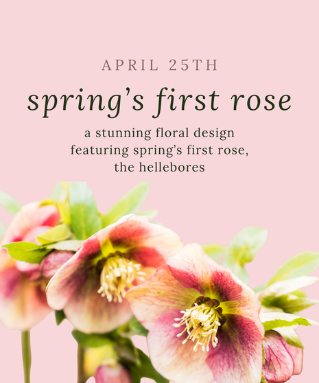 APRIL DESIGN CLASS - April 25th