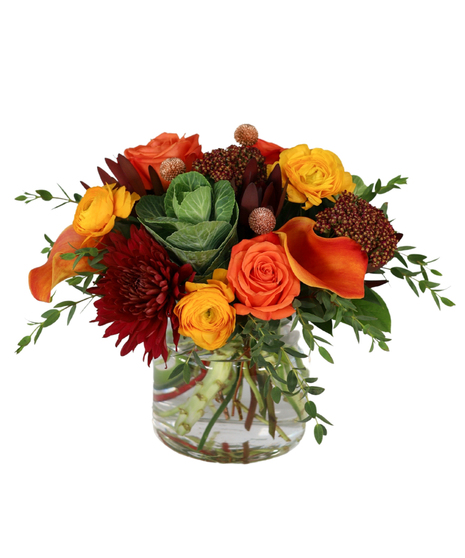Autumn Allure