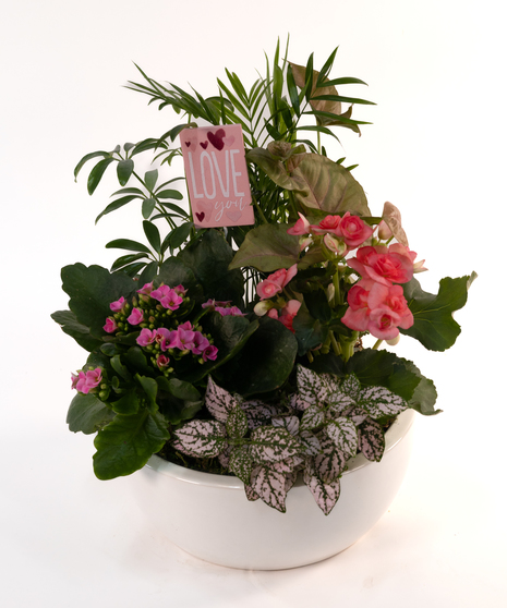 Bubble Gum Sweet European Garden