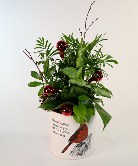 CARDINAL WISHES PLANTER