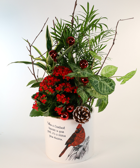 CRIMSON CARDINAL PLANTER