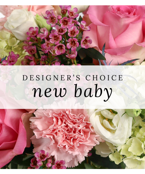 Designer's Choice New Baby
