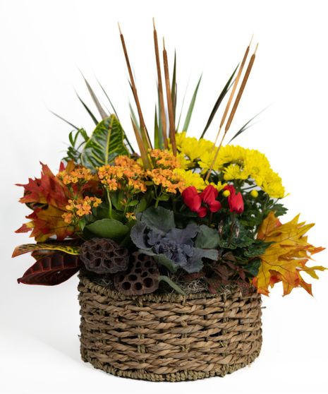 ABUNDANCE OF AUTUMN BLOOMING GARDEN