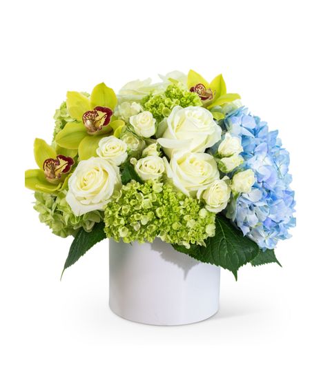 Luxe Home Garden - with Orchids