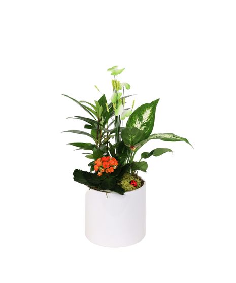 Sunny and Sweet Petite Planter