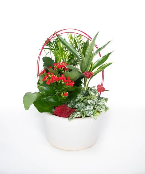 Sweet Love Planter