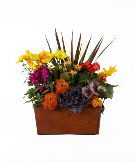 AUTUMN'S BOUNTY GARDEN