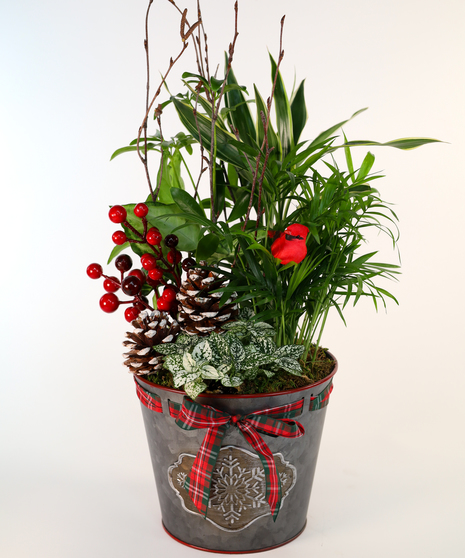 Holiday Magic Planter