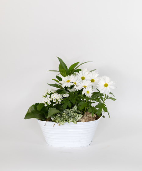 Wonderous Whites European Garden