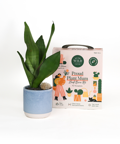 Plant Mom Bundle
