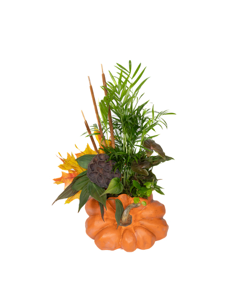 Pumpkin Harvest Planter