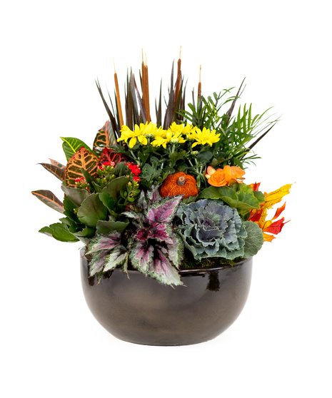 GOLDEN GATHERING - BLOOMING GARDEN