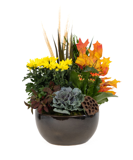 AUTUMN GLOW - BLOOMING GARDEN