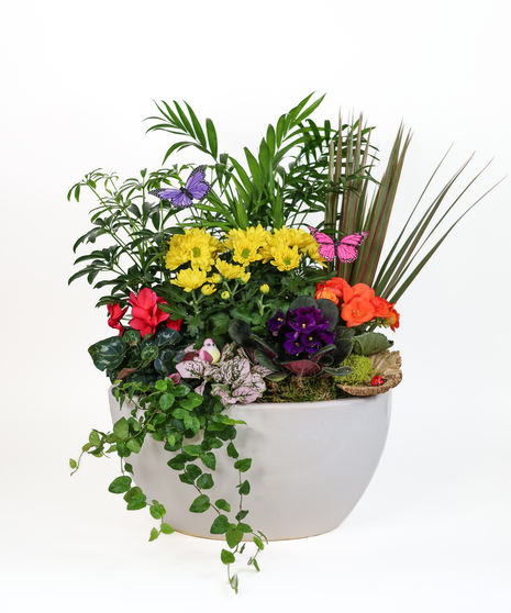 GARDEN WHIMSEY - EUROPEAN GARDEN