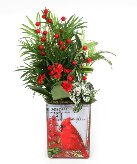 CARDINAL SERENADE PLANTER