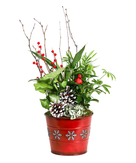 WOODLAND HOLIDAY - PLANTER