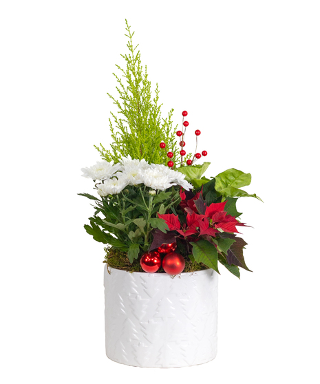 WINTRY WOODLAND BLOOMING GARDEN