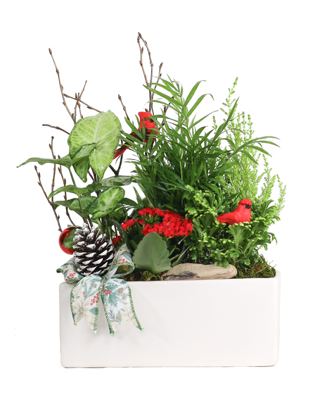 WINTER'S EMBRACE GARDEN