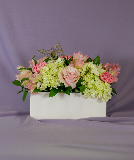 BLUSH & BLOOM