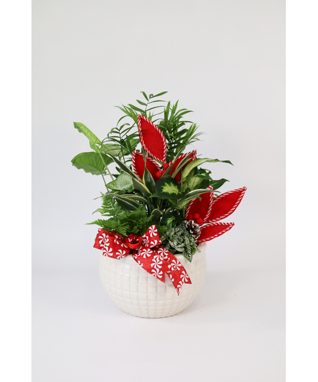 Holiday Haven Planter