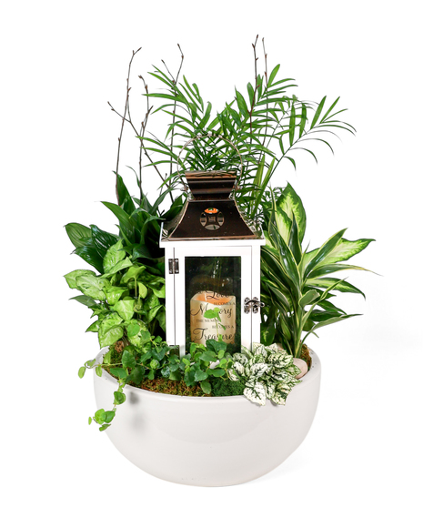 MEMORIES IN BLOOM LANTERN GARDEN