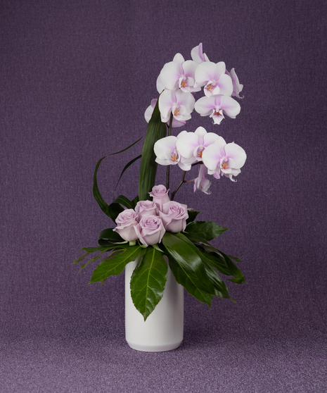 LAVENDER LUXE
