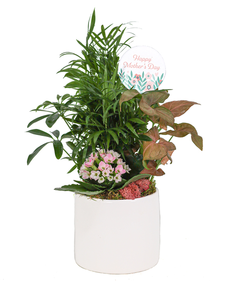 Mom's Joy Petite Planter