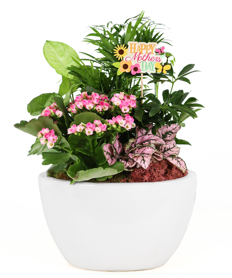 Mother's Love Blooming Garden