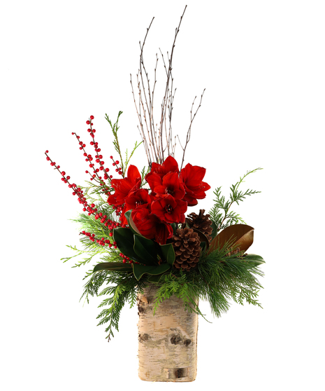 Holiday Enchantment
