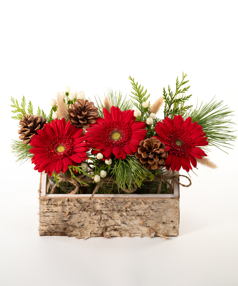 Winter Wonderland Trio