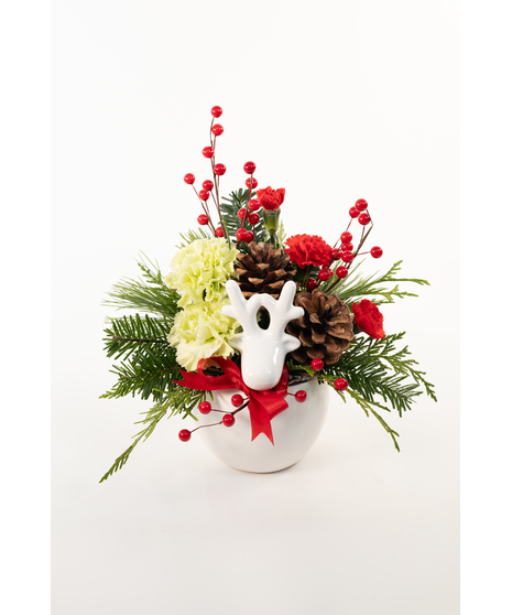 RADIANT REINDEER