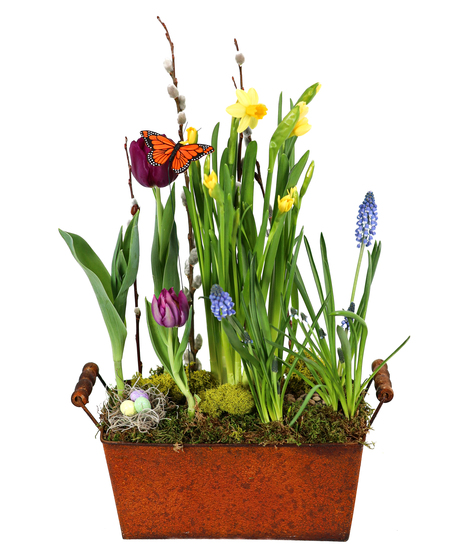 Spring Awakening Bulb Garden