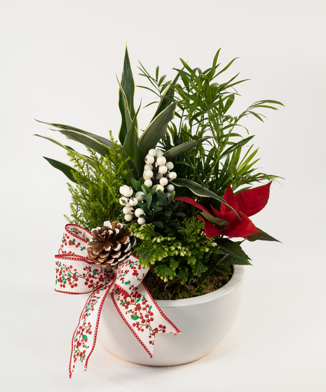 Holiday Flower & Gifts Collection - Eastern Floral - Grand Rapids