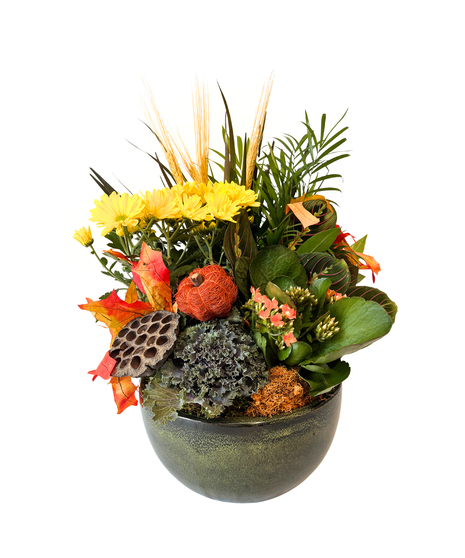 AUTUMN HARVEST GARDEN