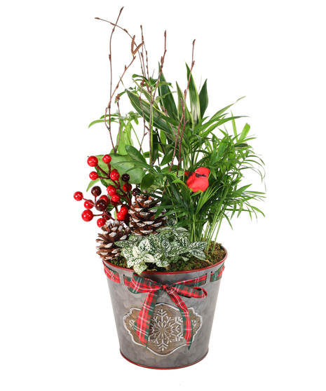 HOLIDAY MAGIC PLANTER