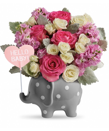 Teleflora's Hello Baby Elephant-Girl
