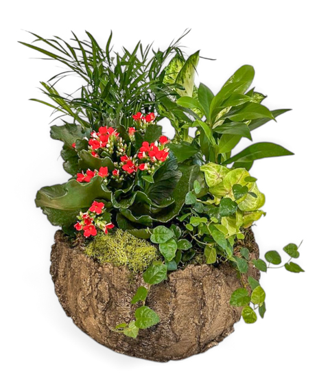 WOODLAND DREAMS PLANTER