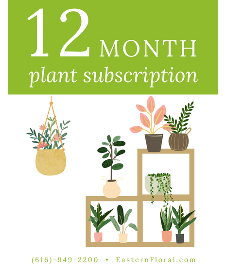 Plant Of The Month - New Plant Each Month!
